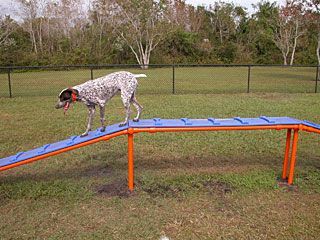 Dog walk clearance ramp